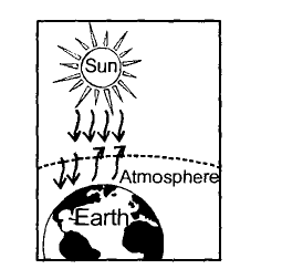 photosynthesis