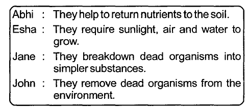 photosynthesis