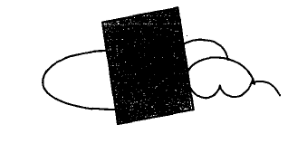 photosynthesis